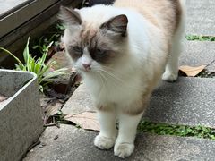 -谷咖啡·鲜花绿植花园餐厅