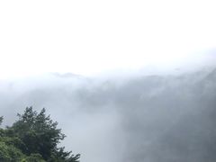 -江南天池