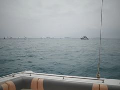 -小猫钓鱼海钓俱乐部(椰梦长廊店)