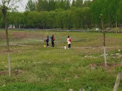 -东郊湿地公园