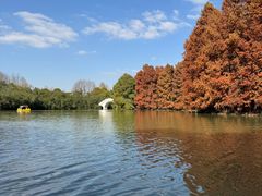 -上海海湾国家森林公园