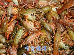 -江湖万州烤鱼(王子美食城)