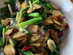 见手青-马帮菜馆·美味野生菌