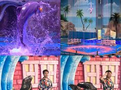 -华夏文旅海洋公园