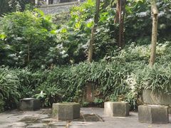 -广州市白云山风景名胜区
