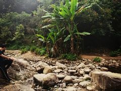 -梧桐山风景名胜区