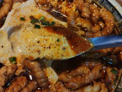-凤翔改改豆花泡馍(双仁府街店)