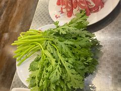 茼蒿-鑫龙火锅城(青岛分店)