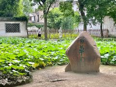 -绍兴鲁迅故里·沈园景区