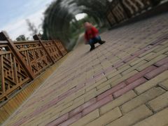 -同里国家湿地公园