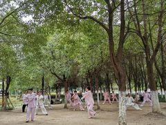 -汉江湾体育公园