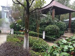 阳明温泉山庄-余姚阳明温泉山庄