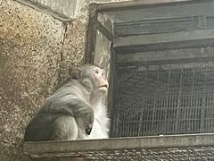 -黔灵山公园