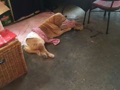 iphone_upload_pic-南丫岛