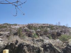 -百里山水画廊乌龙峡谷