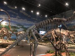 -自贡恐龙博物馆