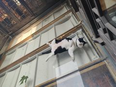 -猫的天空之城概念书店(杭州南宋御街店)