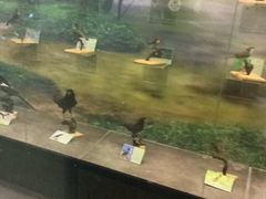 -下渚湖国家湿地公园科普馆