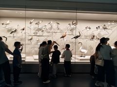 -中国湿地博物馆