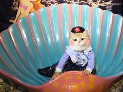 -江和美海洋公园