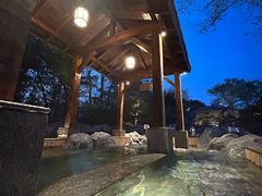 -和园景逸大酒店朗月汤泉