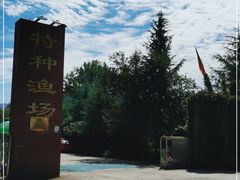 -特种渔场