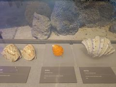 -中国（海南）南海博物馆