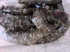 -大连熟食品交易中心