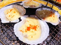 招牌芝士扇贝-青瓦炭韩潮烤肉(花园道店)