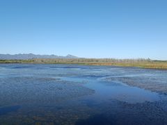 -野鸭湖国家湿地公园