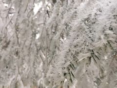 -硗碛藏寨·神木垒景区