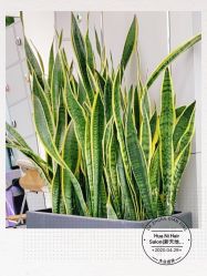 -FUTURE HN男士发型风格设计