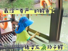 -中国扬子鳄村