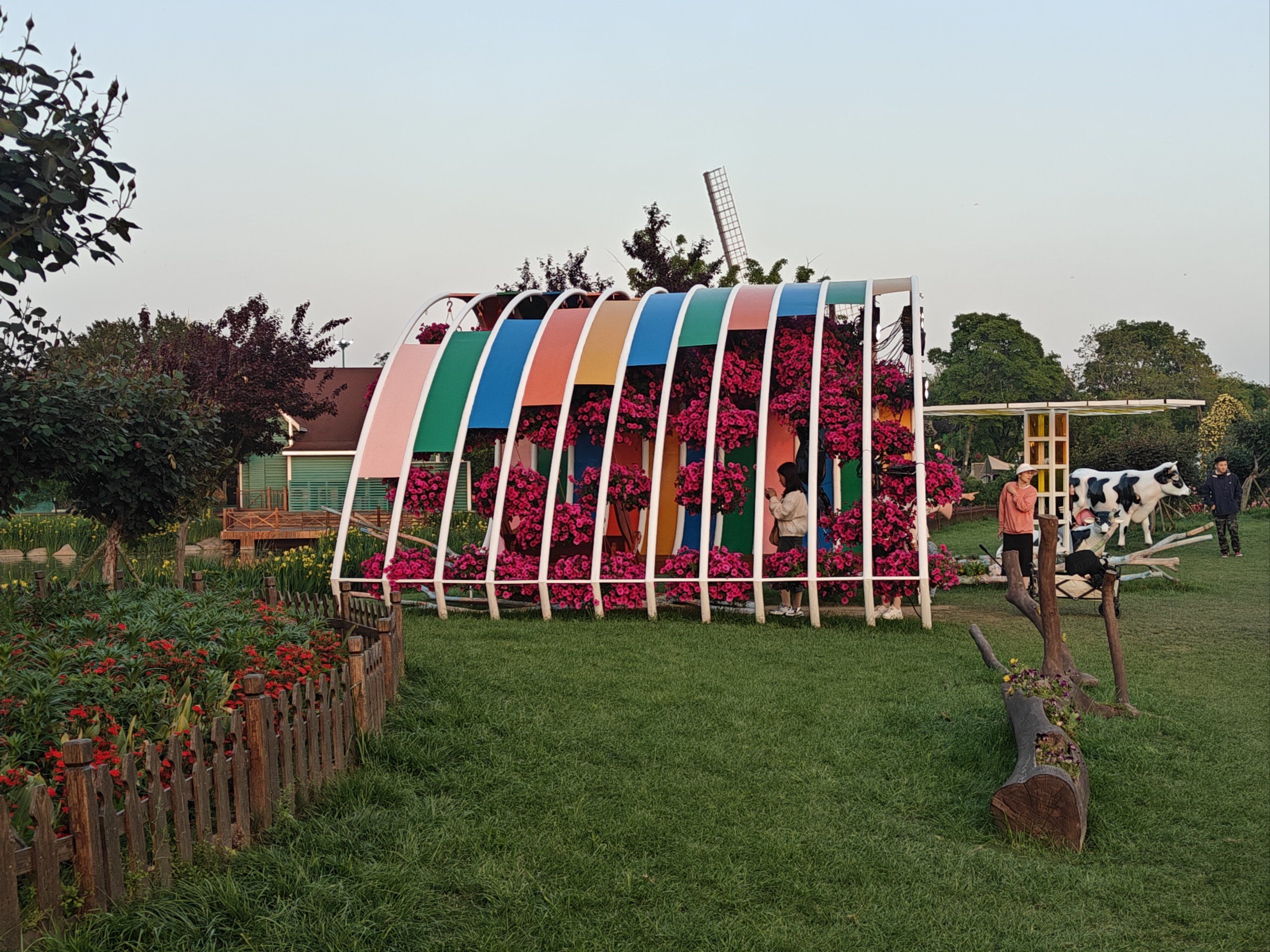 盐城荷兰花海一日游