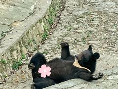 -乐和乐都主题乐园