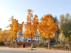-河北省园博园