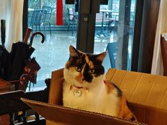 -BUND·FIVE外滩5号(天际店)