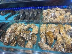 -宝轩渔府·老字号海鲜·正宗津菜(水上店)