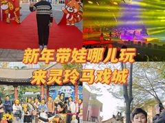 -灵玲国际马戏城