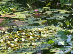 -国家植物园南园