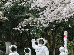 -杭州少年儿童公园