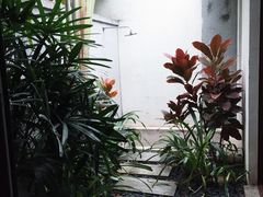 -候鸟水榕庄度假酒店