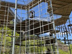 -云岫谷游猎自然风景区