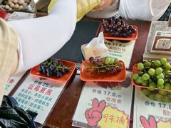 -马陆小张葡萄园农家乐