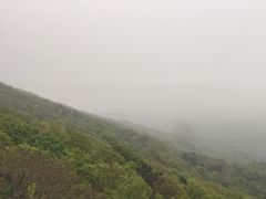 -紫金山山顶公园