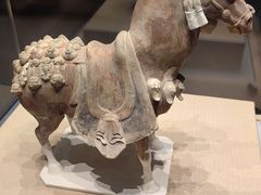 -太原市博物馆