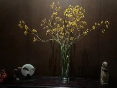 -宝燕壹号景观餐厅(龙盛国际商业广场店)
