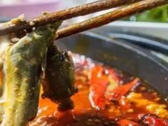 -石锅苗苗鱼(武汉首店)