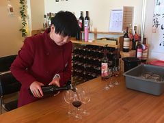 -北京张裕爱斐堡酒庄