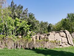 -北京野生动物园